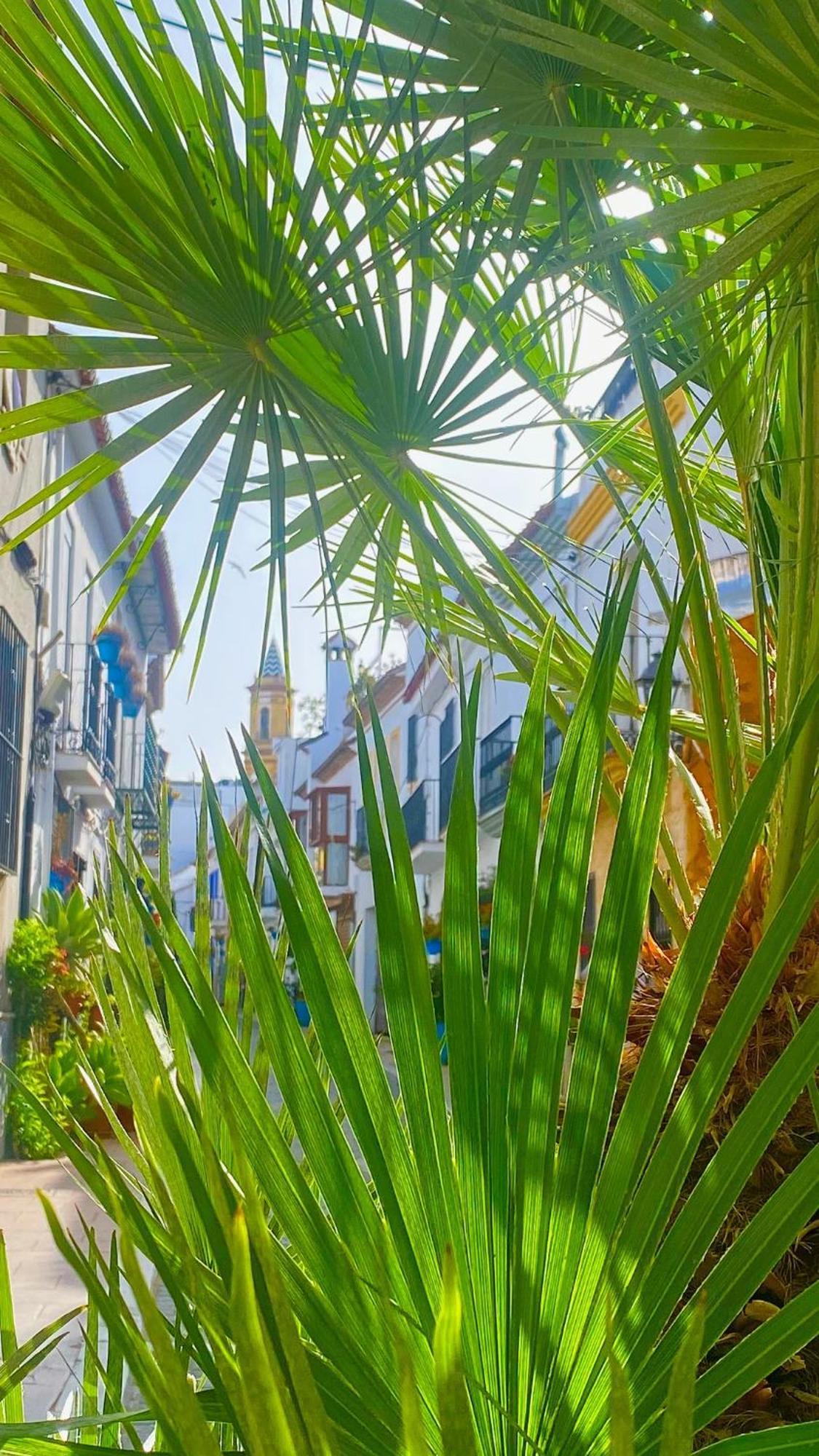 Loving Mediterranean Home Estepona Exterior foto